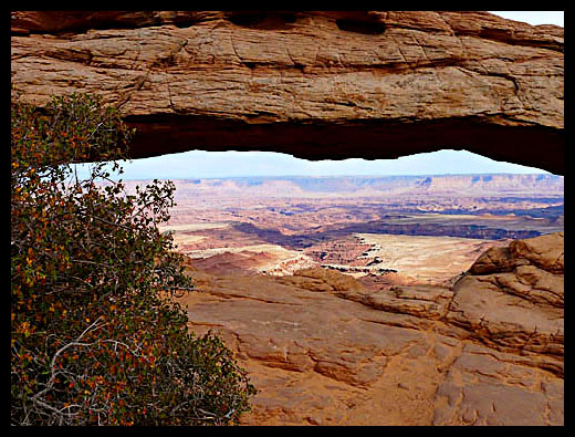 Mesa arch